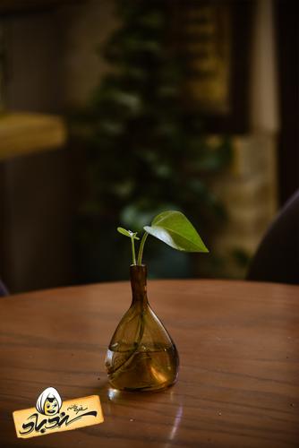 کافه سندباد - شعبه 2